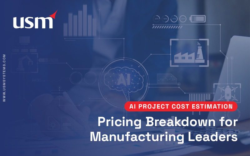 AI project cost